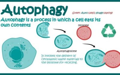 KEBURUKKAN INTERMITTENT FASTING